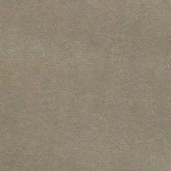 Veludo Toupe | Velutina 04
